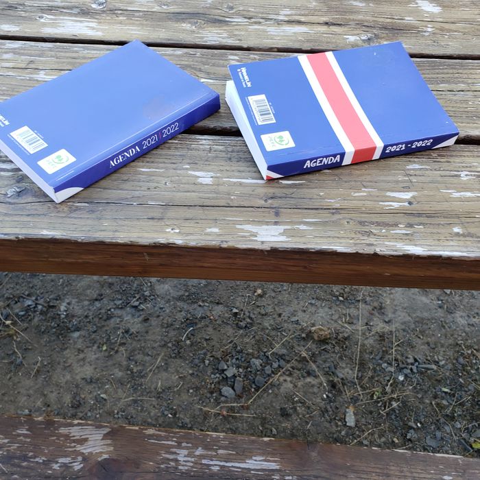 Lot de 2 agendas scolaires 2021-2022 - photo numéro 3