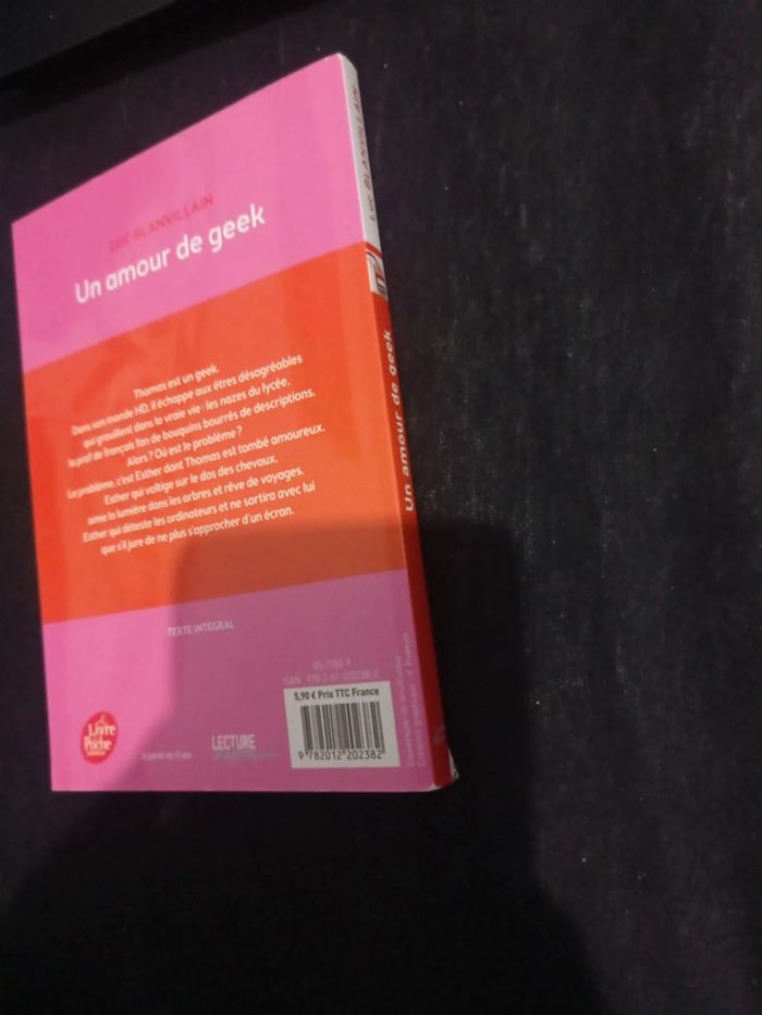 Un amour de geek - photo numéro 3