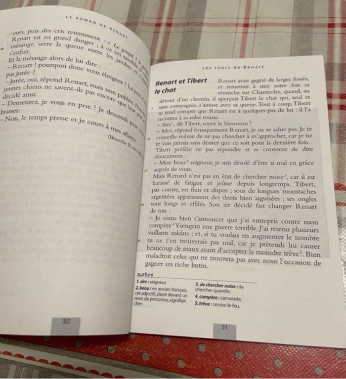 Le roman de renard - photo numéro 3