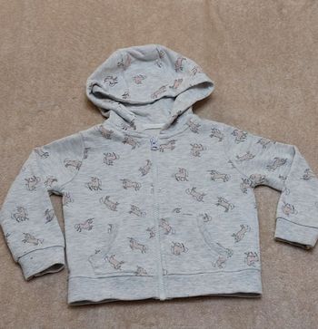 Gilet zippé avec capuche fille 3 ans