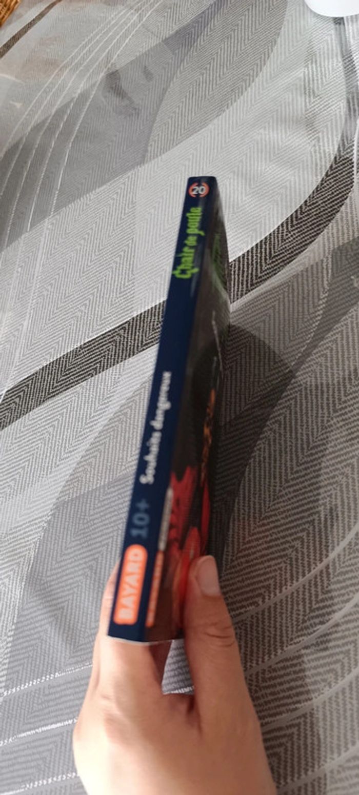 Livre chair de poule - photo numéro 3