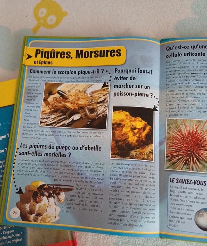 Livres questions/réponses sur le monde - photo numéro 5