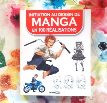 INITIATION AU DESSIN DE MANGA EN 100 REALISATIONS Ed. ESI