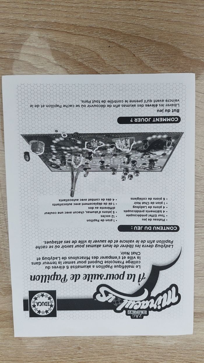 Jeu Miraculous à la poursuite de papillon - photo numéro 3