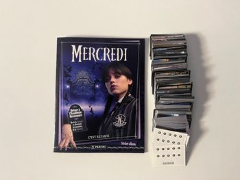Panini Mercredi 2