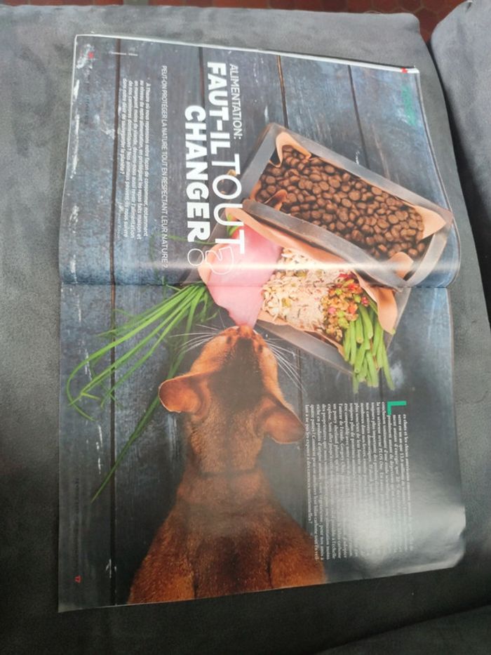 Magazine 30 millions d'amis numéro 381 février 2020 - photo numéro 5