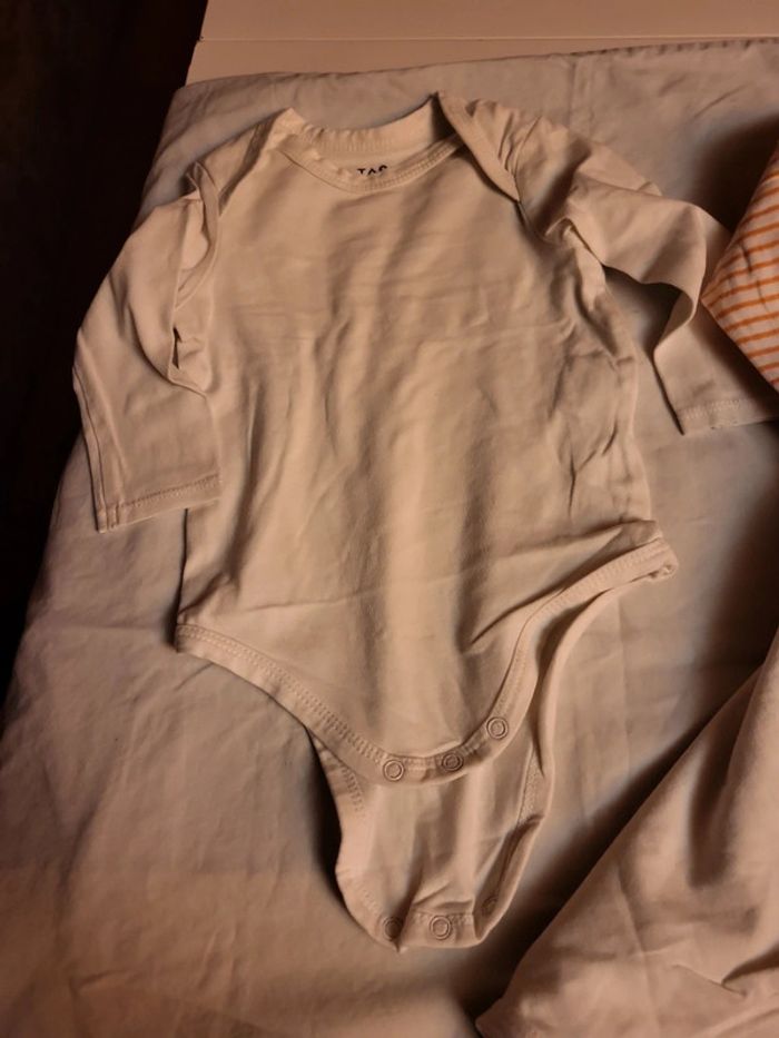 Lot de 3 bodys tao 6 mois - photo numéro 4