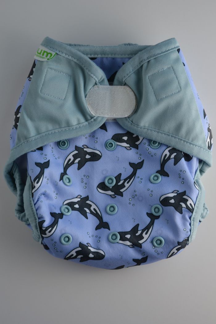 Surcouche évolutive Bum Diapers