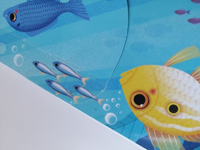 mon imagier à flaps - livre enfant - photo numéro 10