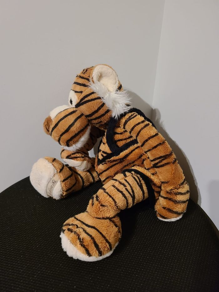 tigre - photo numéro 5