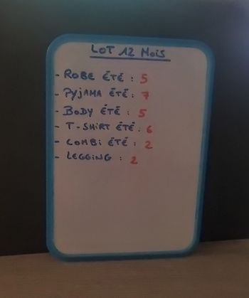 Lot bébé fille 12 mois