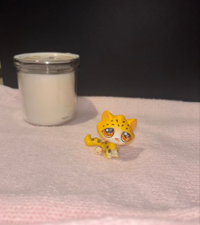 léopard #388 - photo numéro 2