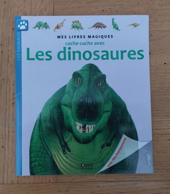 Cache cache avec Les Dinosaures 