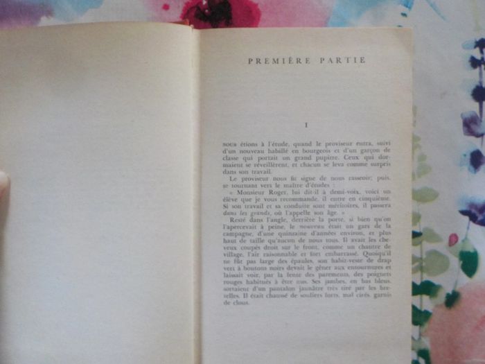 Madame Bovary de Gustave Flaubert Le Livre de Poche Classique - photo numéro 7