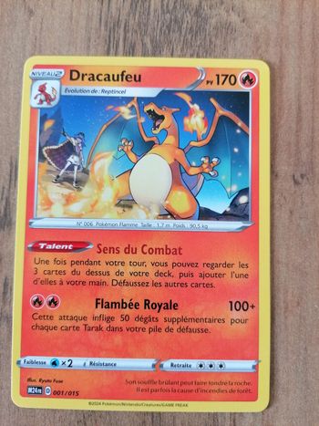 Dracaufeu M24fr 01/15