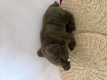 peluche sanglier château de Chambord