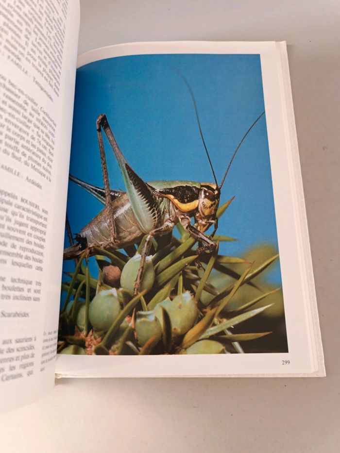 La nouvelle encyclopédie des animaux France loisirs édition 1980 - photo numéro 6