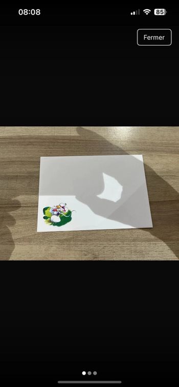 Enveloppe diddl