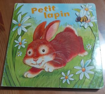 Joli livre 1er âge avec des reliefs "petit lapin"