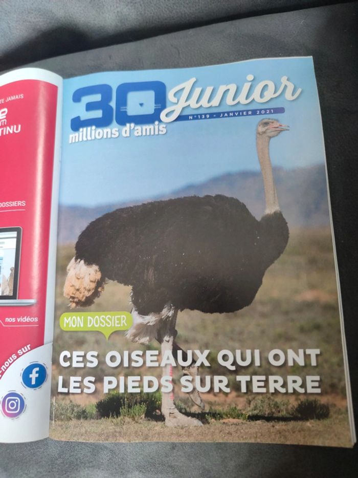 Magazine 30 millions d'amis numéro 391 janvier 2021 - photo numéro 9