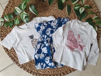 Lot de 3 tee-shirts et tuniques bébé fille