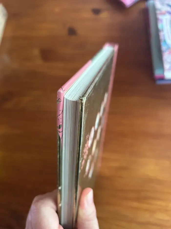 Lot de livres princesses - photo numéro 11