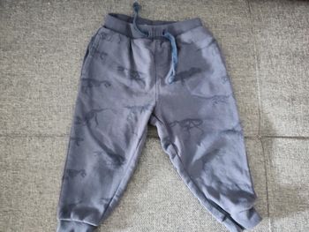 Jogging garçon 3 ans dinosaures