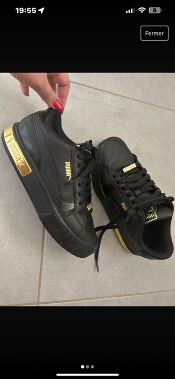Puma cali star