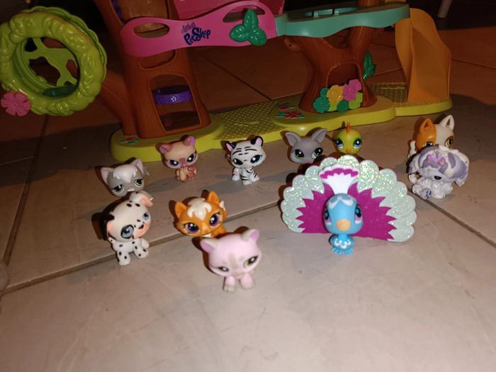 Lot petshop - photo numéro 5