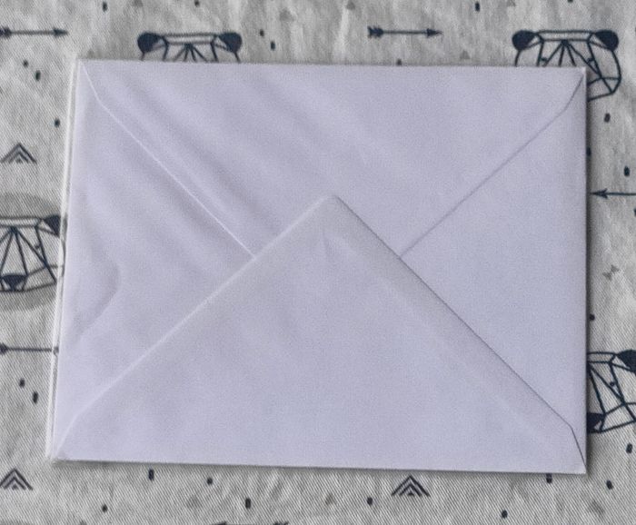 Carte de vœux+ enveloppe - photo numéro 2