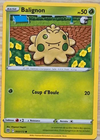 Balignon Stars Étincelantes