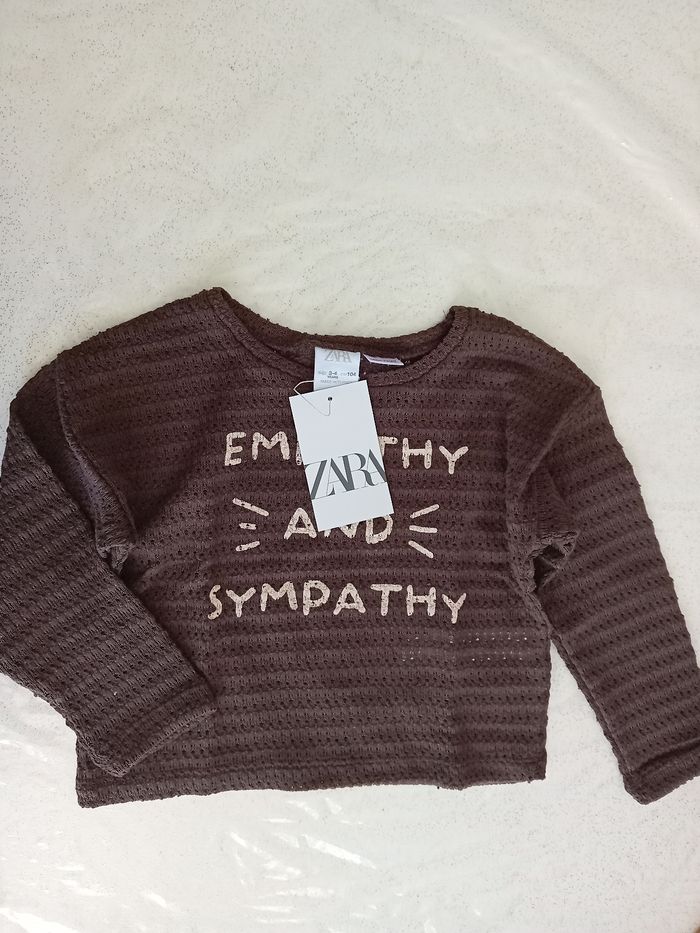 Pull marron neuf Zara