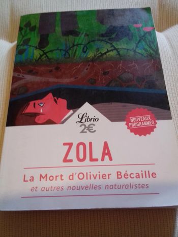 Livre Zola (la mort d'Olivier Becaille)
