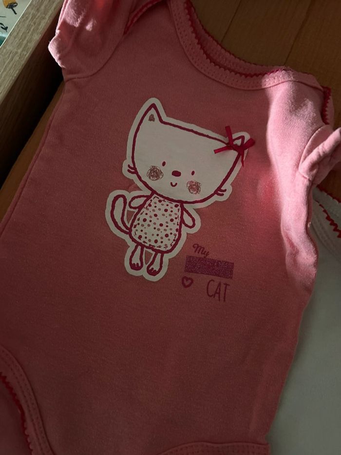 Lot 3 bodies in extenso - photo numéro 3