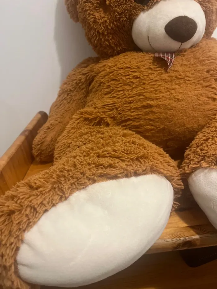 Nounours - photo numéro 3