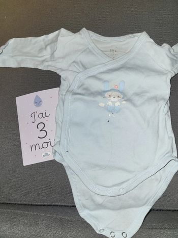 Lot 2 bodies TeX lapin