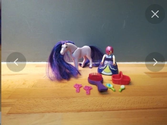 Playmobil princesse 6167