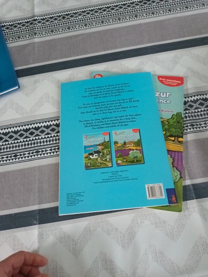 Lot livre de vacances - photo numéro 4