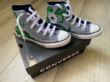 Converse Dinosaures