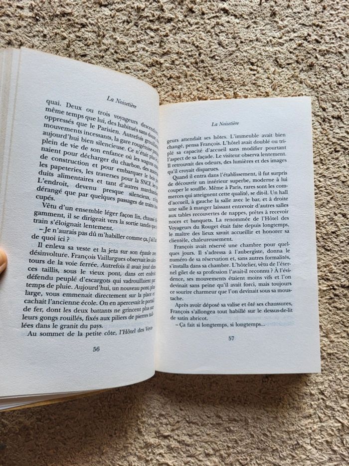 Roman La Noisetière d'Antonin Malroux - photo numéro 6
