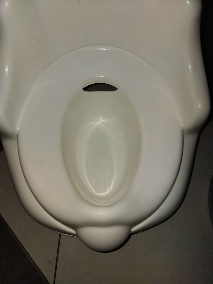 Pot / siège comme neuf - photo numéro 4