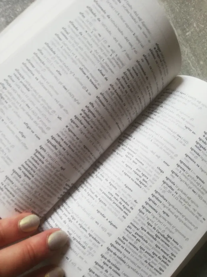 Dictionnaire portugais - photo numéro 3