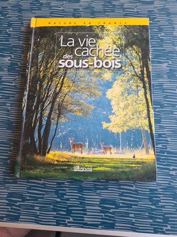 La vue cachée des sous-bois