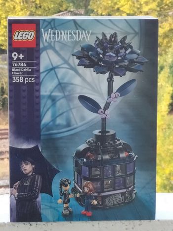 Lego famille Addams mercredi le dahlia noir 