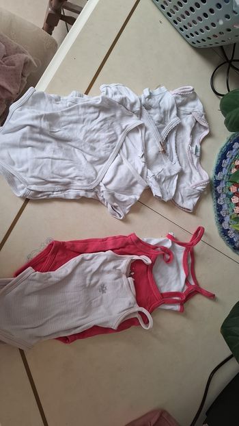 Bodies 3 mois
