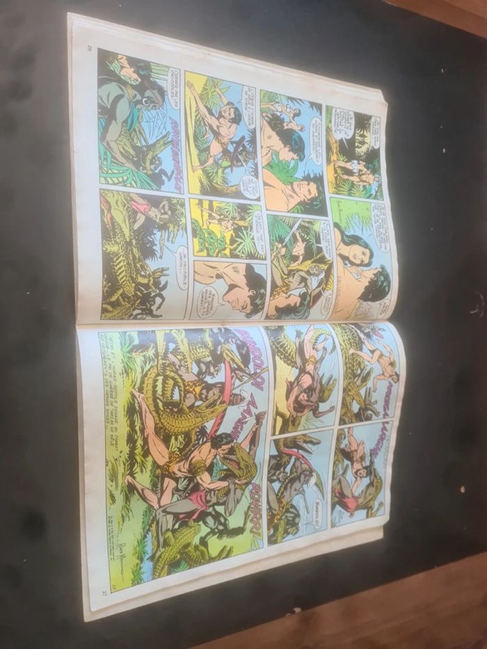 Tarzan le berceau des dieux - photo numéro 4