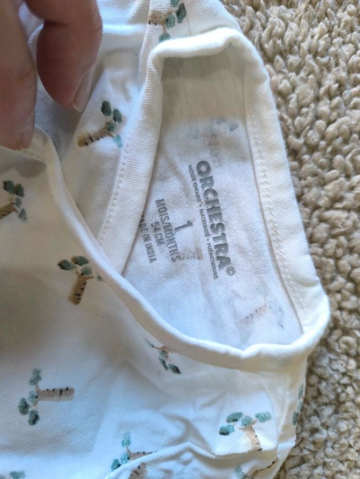 Lot bodies - photo numéro 2