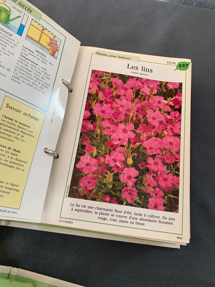 Soins et beauté des plantes - 1140 fiches explicatives - Série complète 6 classeurs + livre index - photo numéro 7