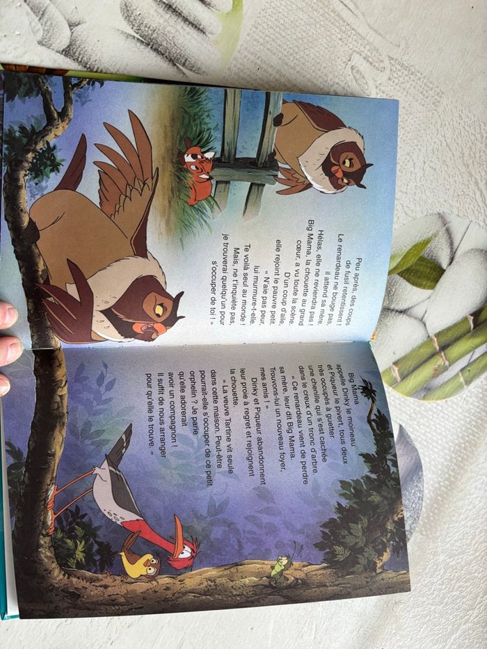 Livre Disney - photo numéro 3