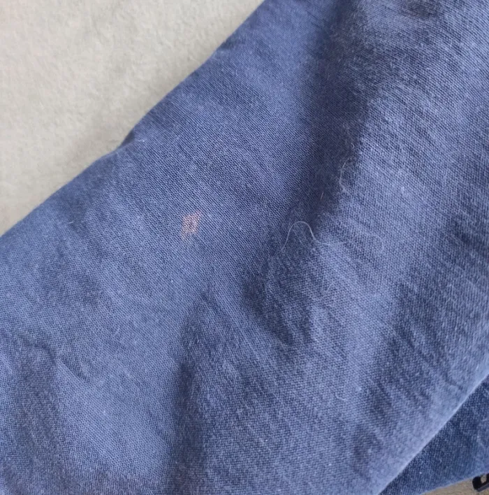 Chancelière Sergent Major T2 - photo numéro 6